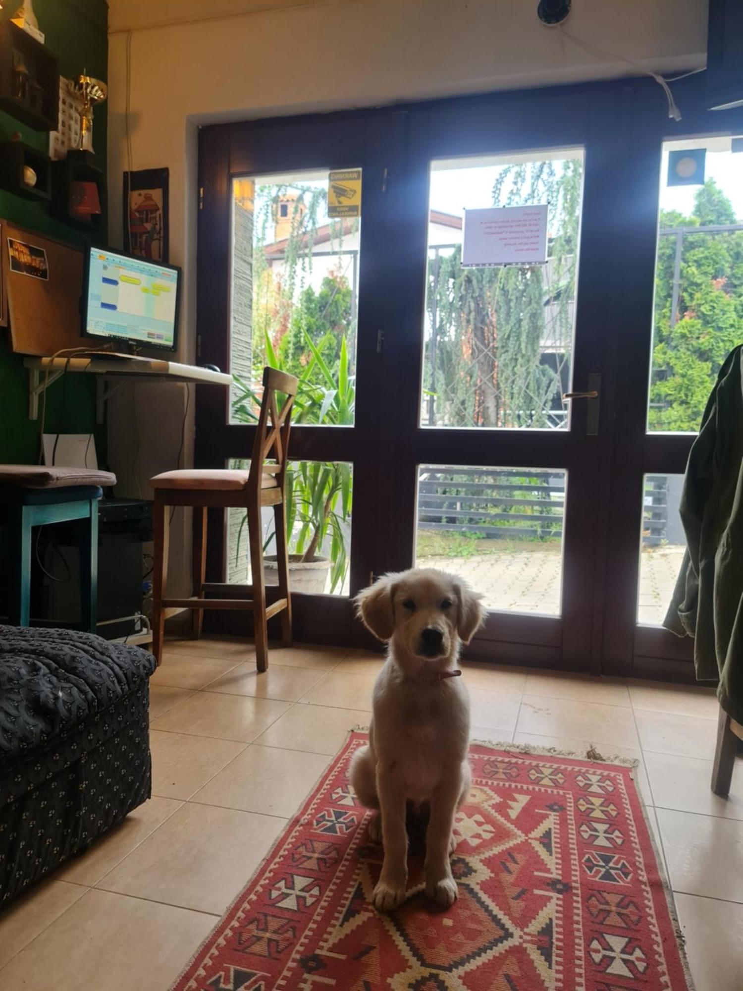 Guesthouse Hotel My Home Πρίζρεν Εξωτερικό φωτογραφία